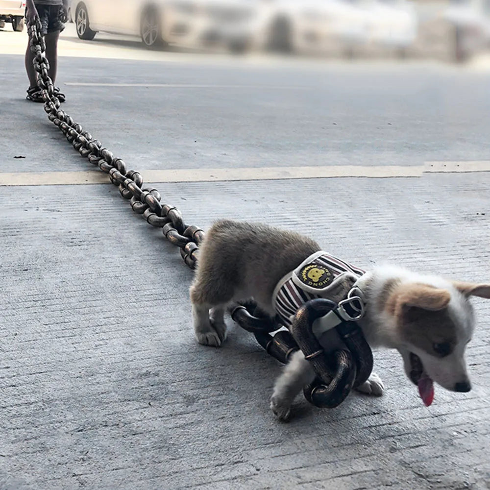 Funny Fake Chain Dog Leash